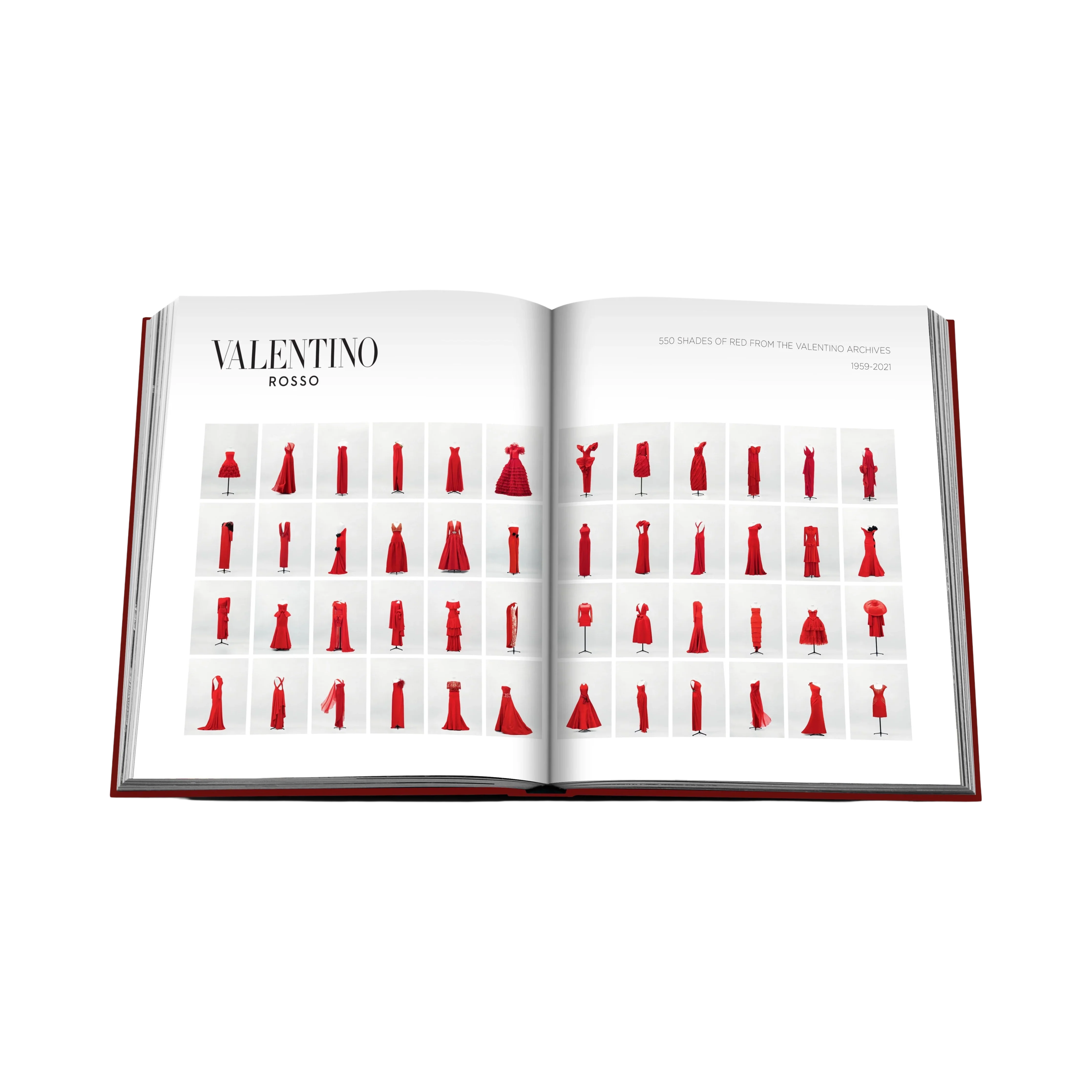 Miniatura 6